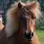 Anette