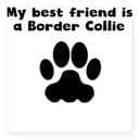 border_collie_love