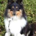 Max2013